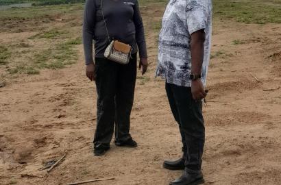 At owy skyline city site at IDU